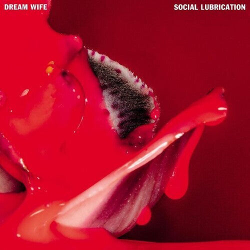 

CD диск Dream Wife: Social Lubrication