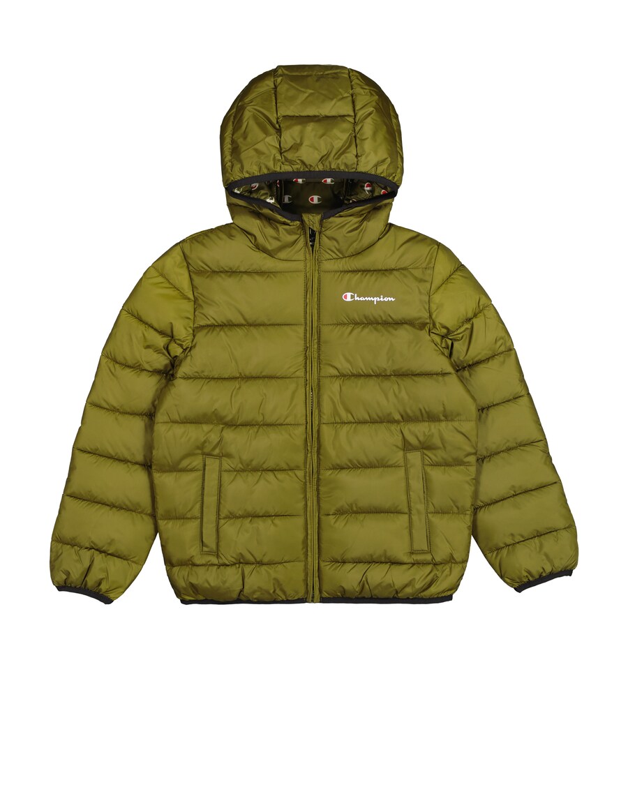 

Зимняя куртка Champion Authentic Athletic Apparel, оливковый
