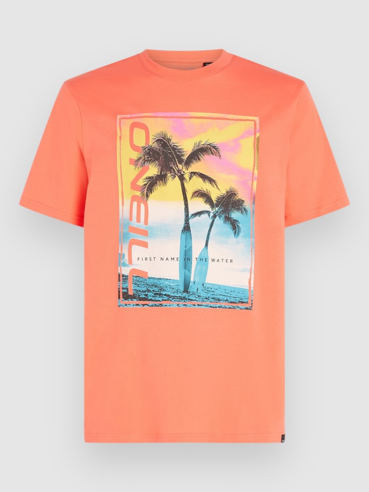 

Футболка O'Neill Jack Neon T-Shirt, living coral, Розовый, Футболка O'Neill Jack Neon T-Shirt, living coral