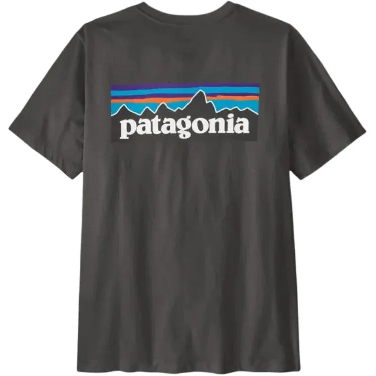 Футболка Patagonia P-6 Graphic Coastal Blue — фото 3