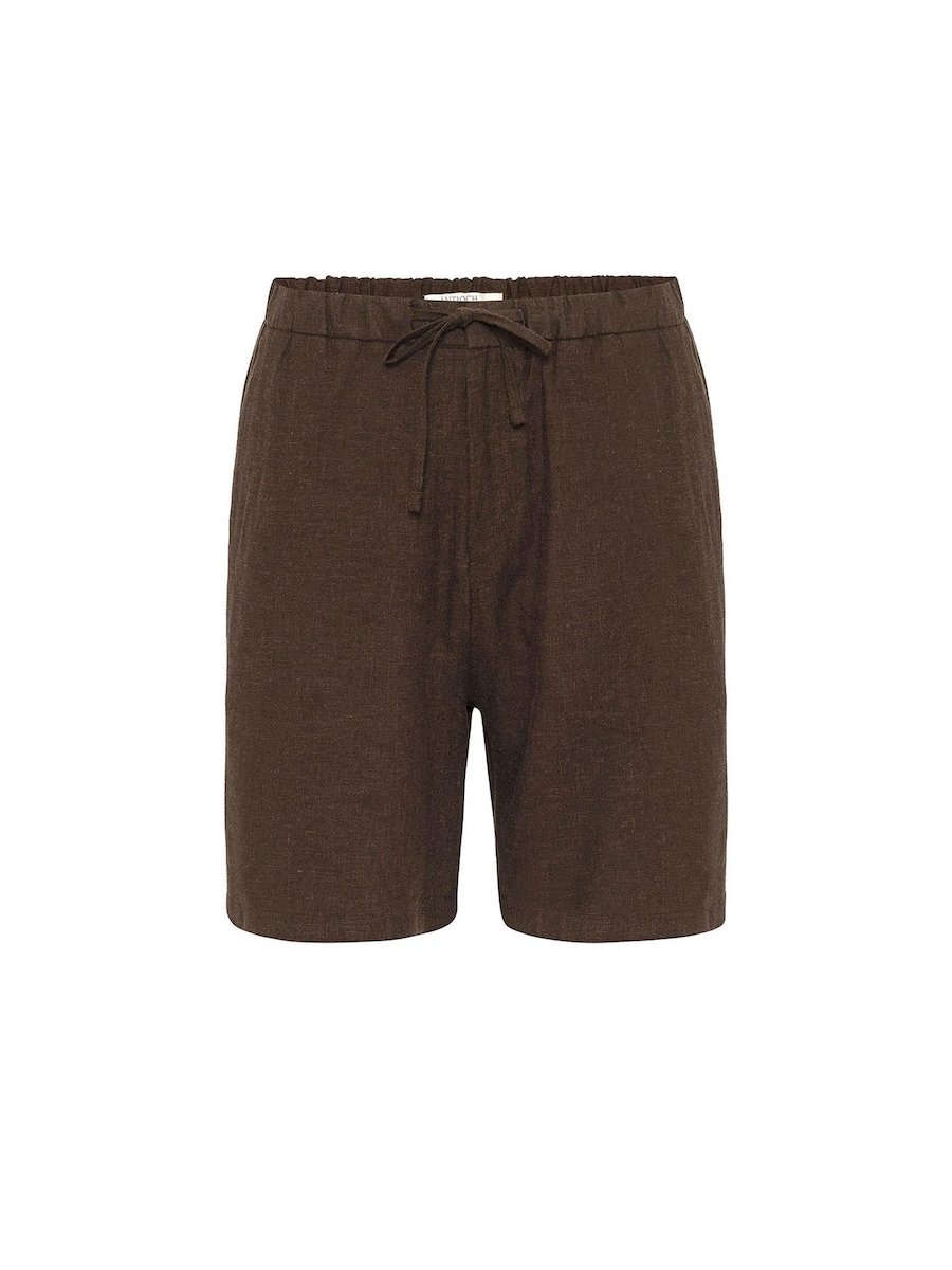 

Обычные брюки Antioch, коричневый