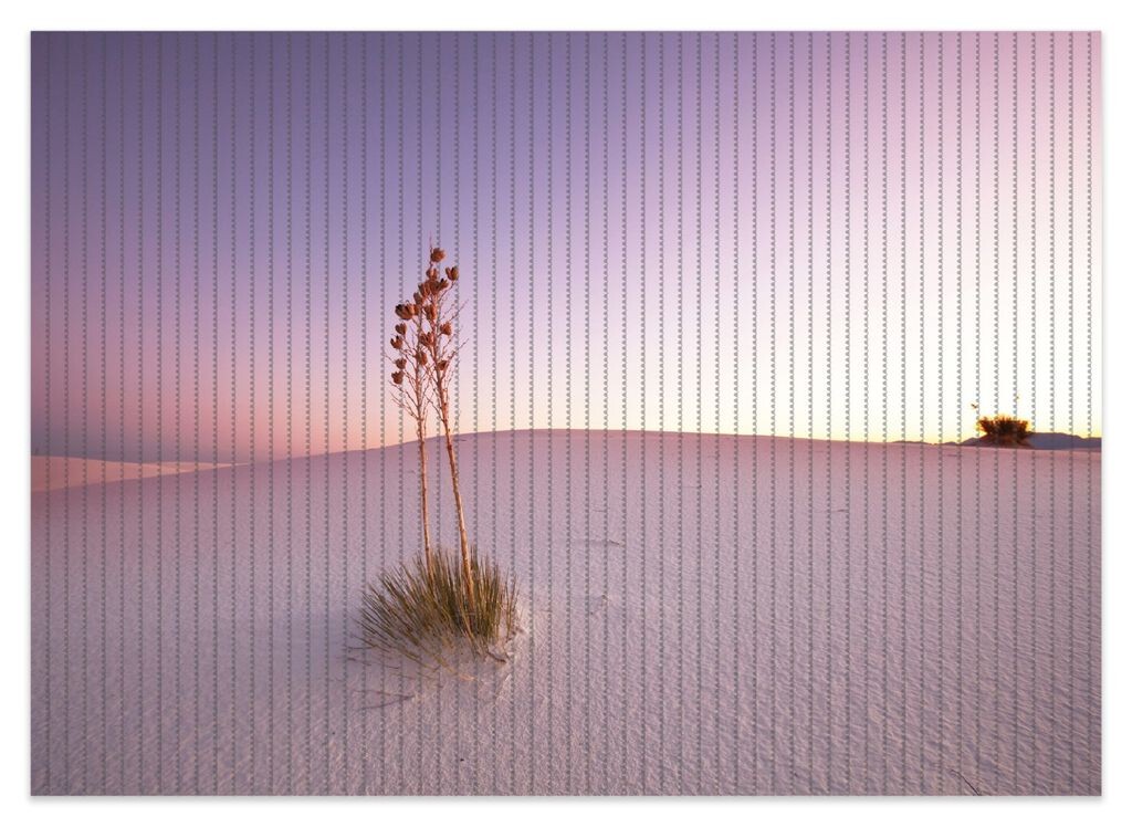 

Коврик для душа Wallario, нескользящий коврик, коврик для ванной, коврик для двери, небольшой оазис в пустыне, размер ок. 70 х 50 см, розовый