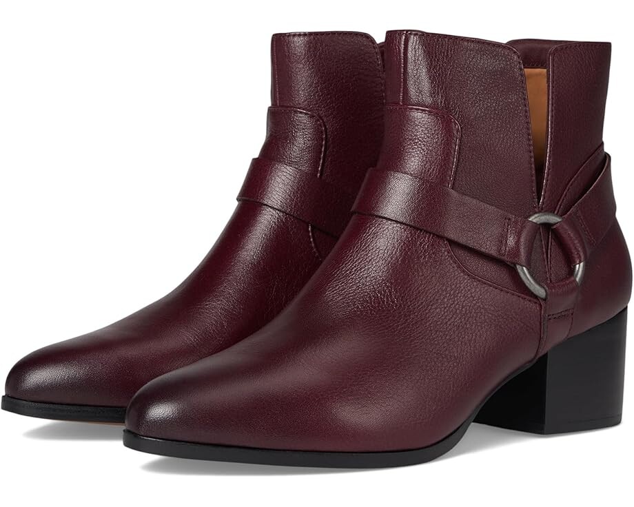 Ботинки Johnston & Murphy Trista Harness Bootie, черный