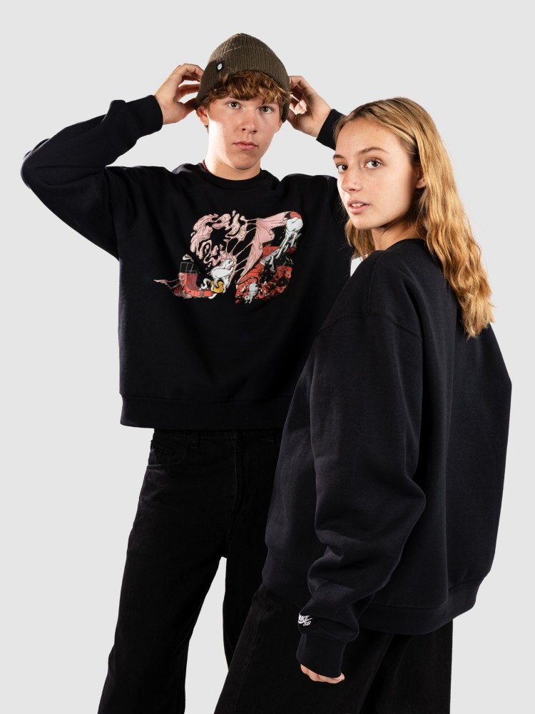Толстовка Nike Sb Flc Po Crw Bb Ssnl Gfx Sweater, black/white — фото 2