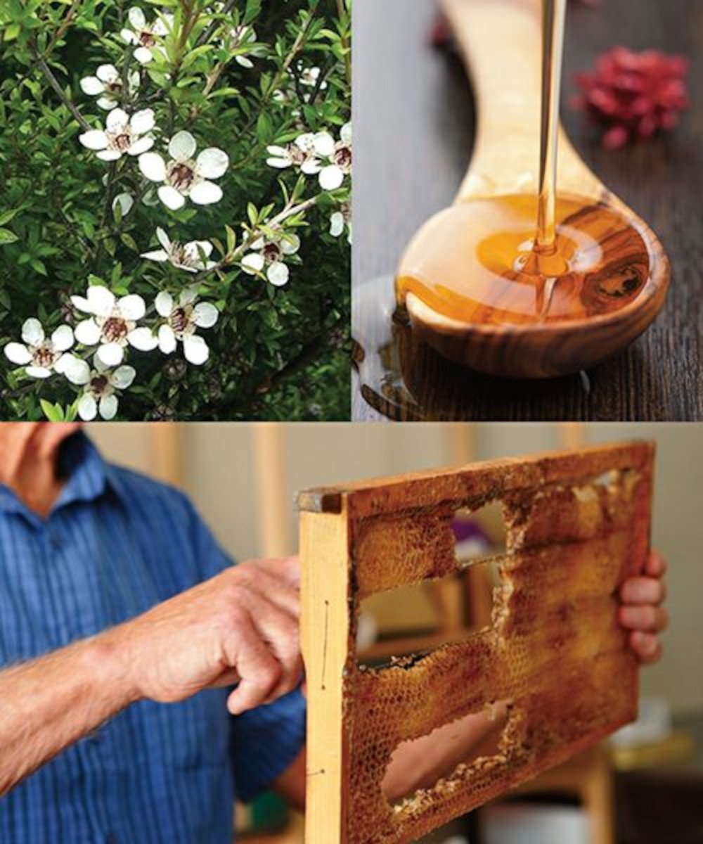 Набор GBI/Moisture [Крем для рук, лосьон для тела, бальзам для губ] Matakana Botanicals, orange — фото 4