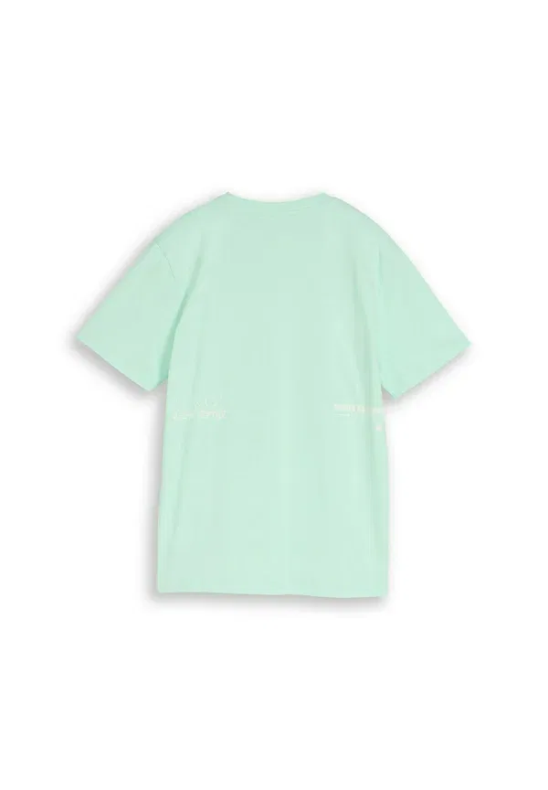 Футболка Tom Tailor T-shirt mit print basic t-shirt, мягкий сахарно-зеленый — фото 2