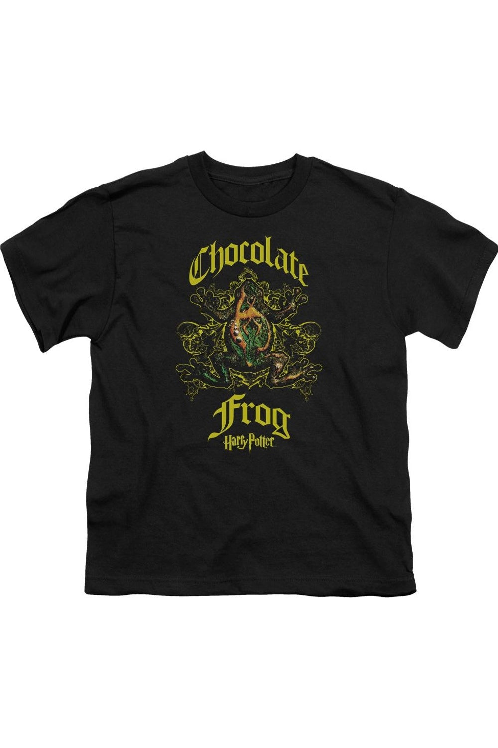 

Футболка с коротким рукавом для детей "Шоколадная жаба" Harry Potter Gildan