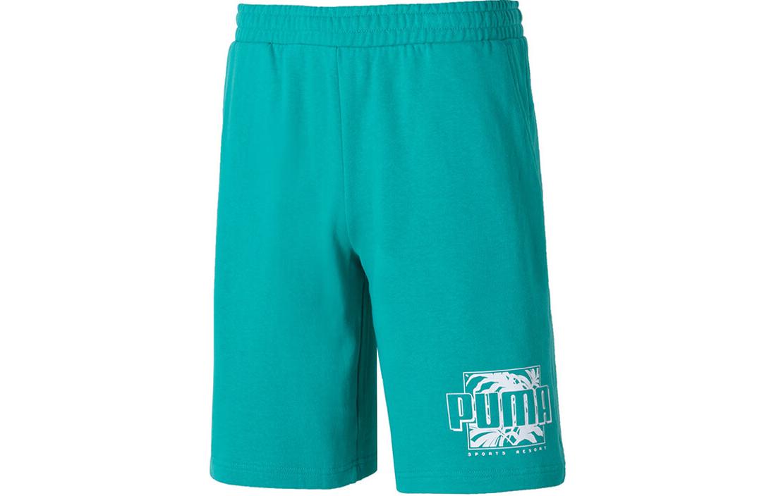 

Повседневные шорты мужские PUMA, синий/зеленый
