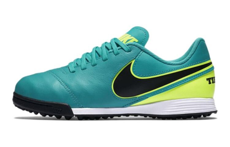 

Футбольные бутсы Tiempo Legend 6 Kids для детей Nike
