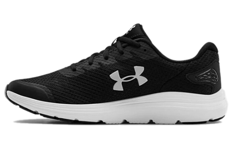 

Мужские кроссовки Under Armour Surge 2