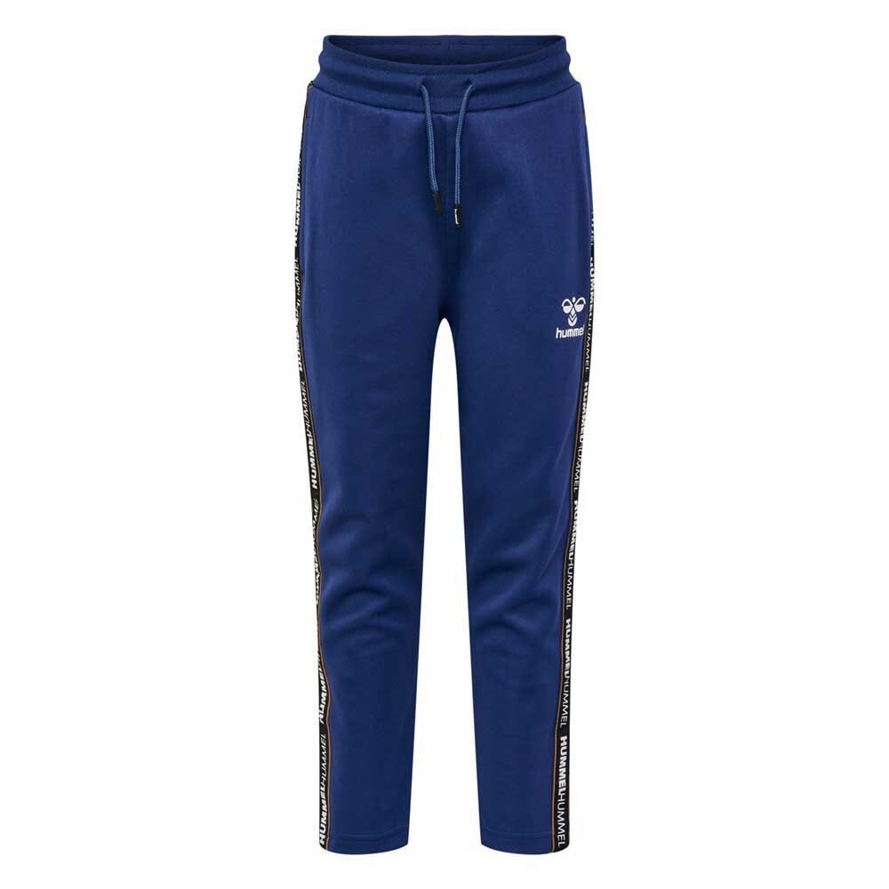 

Брюки Hummel Refresh Tracksuit, синий