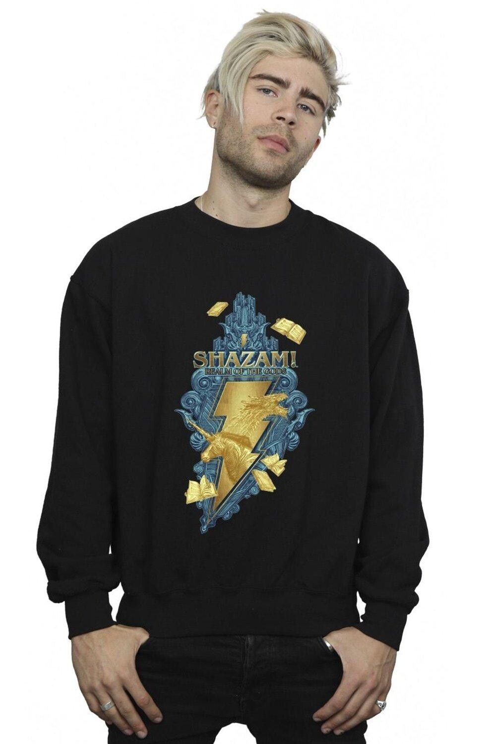 

Толстовка Shazam Fury Of The Gods Golden Animal Bolt DC Comics, черный