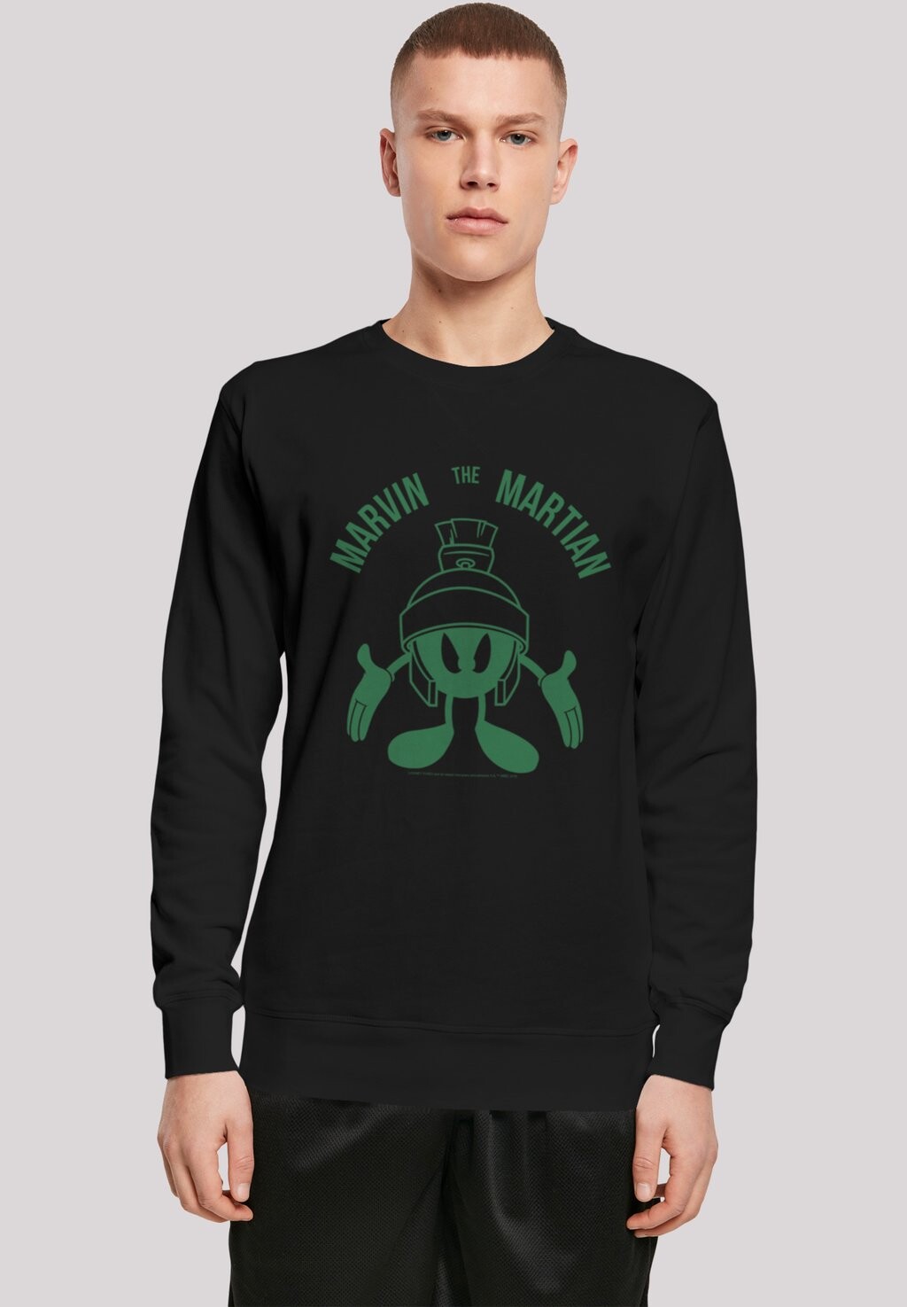 

Толстовка LOONEY TUNES MARVIN THE MARTIAN LARGE HEAD F4NT4STIC, черный