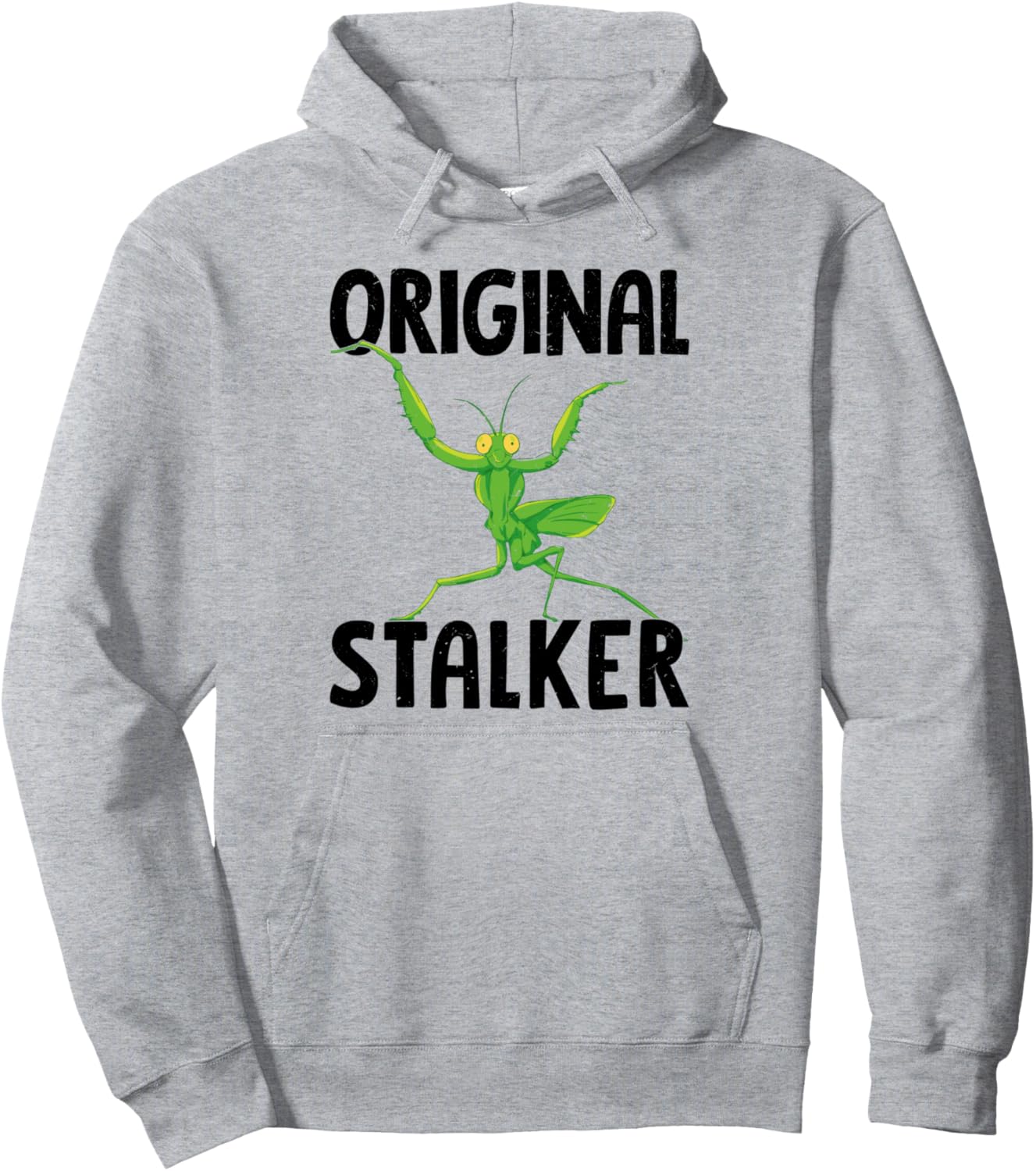 

Энтомолог, любитель насекомых, толстовка с капюшоном Praying Mantis Shirt, серый