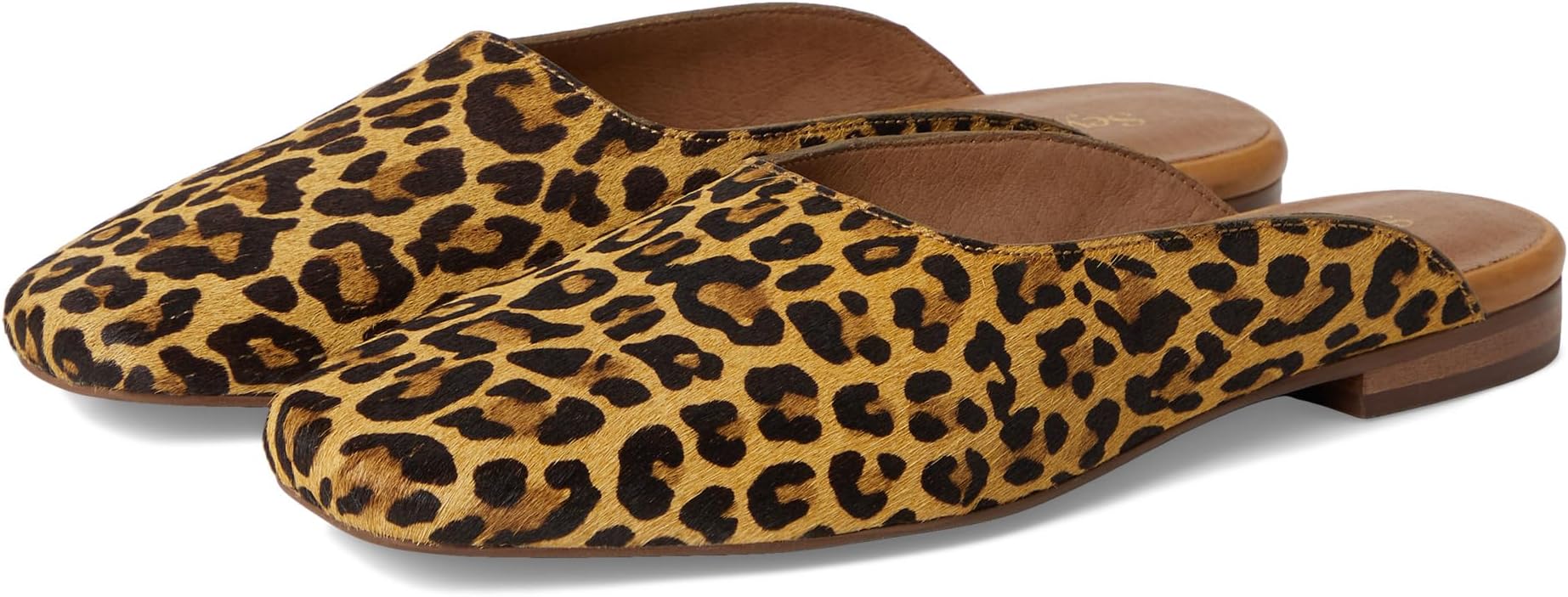 Балетки Seychelles Prim And Proper Mule, цвет Leopard