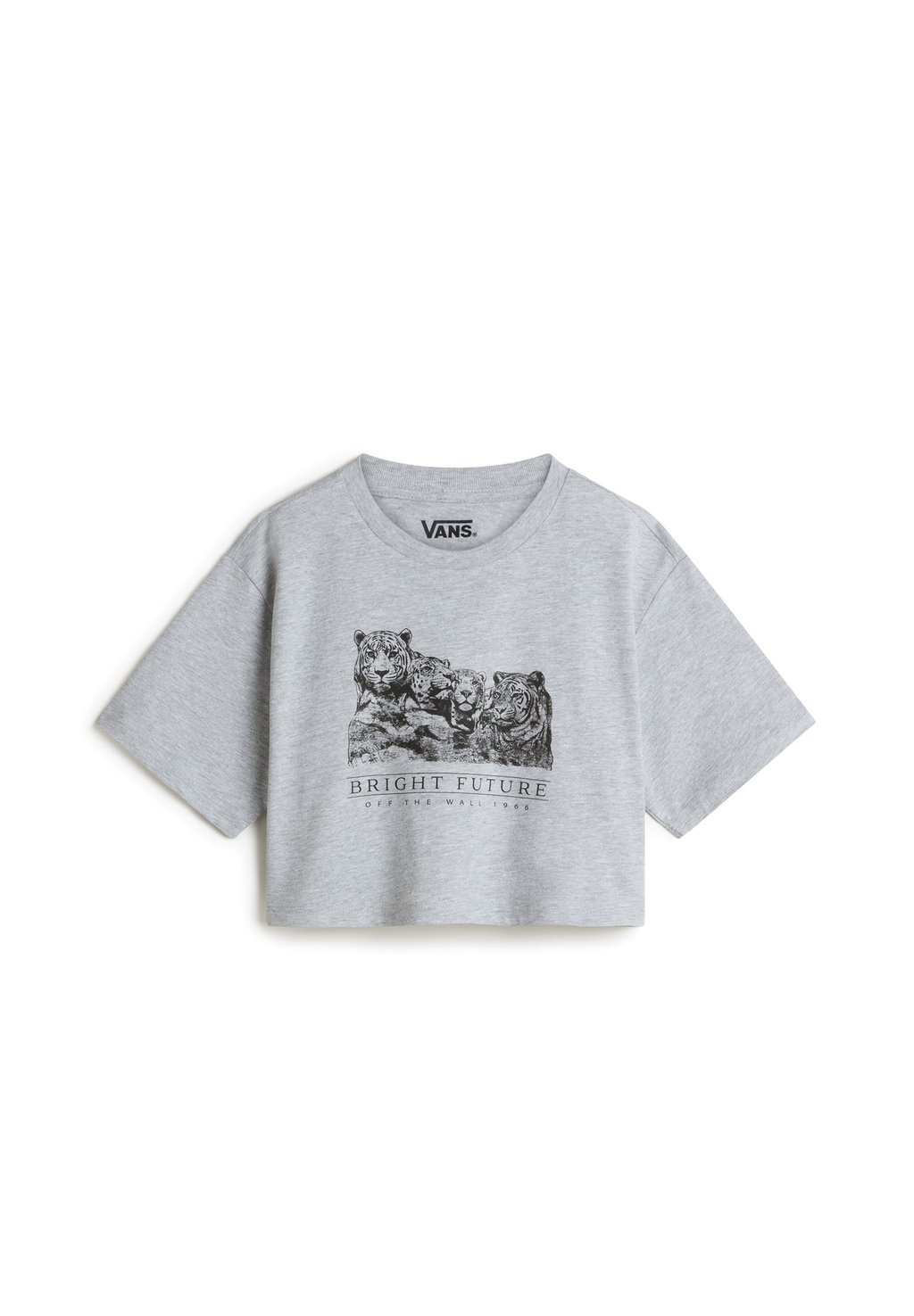 

Футболка с принтом BRIGHT FUTURE RELAXED FIT CROP Vans, серый
