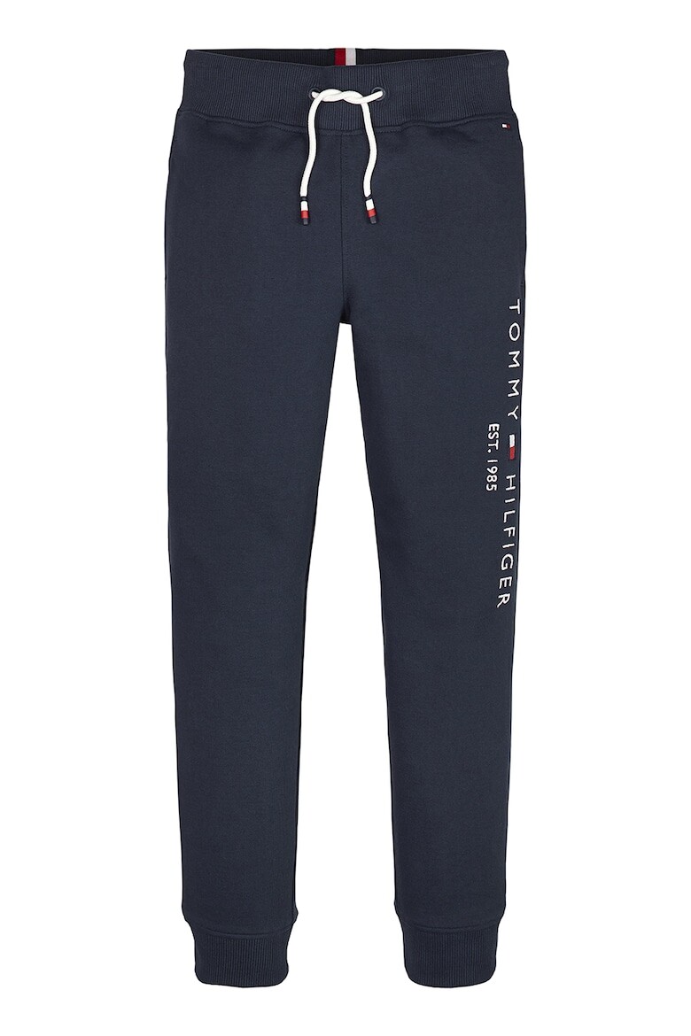 

Спортивные брюки с логотипом Tommy Hilfiger, синий