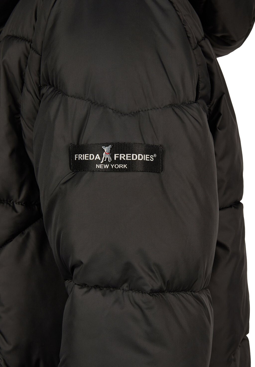 

Зимнее пальто THERMOLITE Frieda & Freddies, черный
