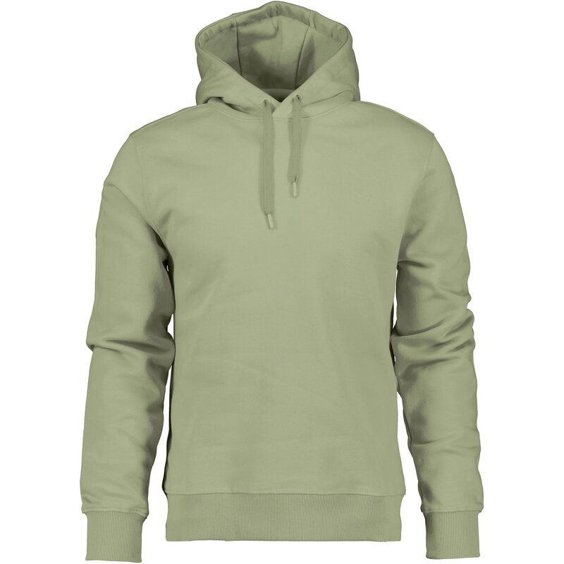 

Толстовка с капюшоном ven usx hoodie Didriksons, цвет light moss