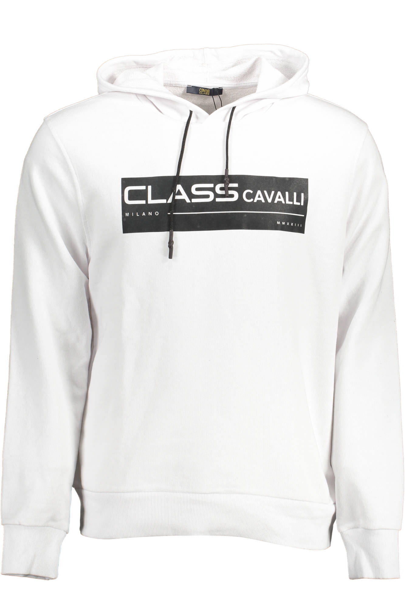 

Толстовка мужская Cavalli Class с логотипом, белый / черный