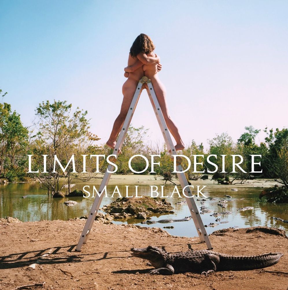 

Виниловая пластинка LP Limits Of Desire - Small Black