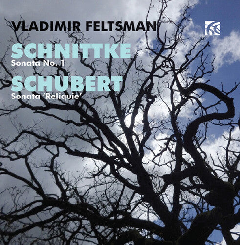 

CD диск Schnittke / Feltsman, Vladimir: Sonata No. 1