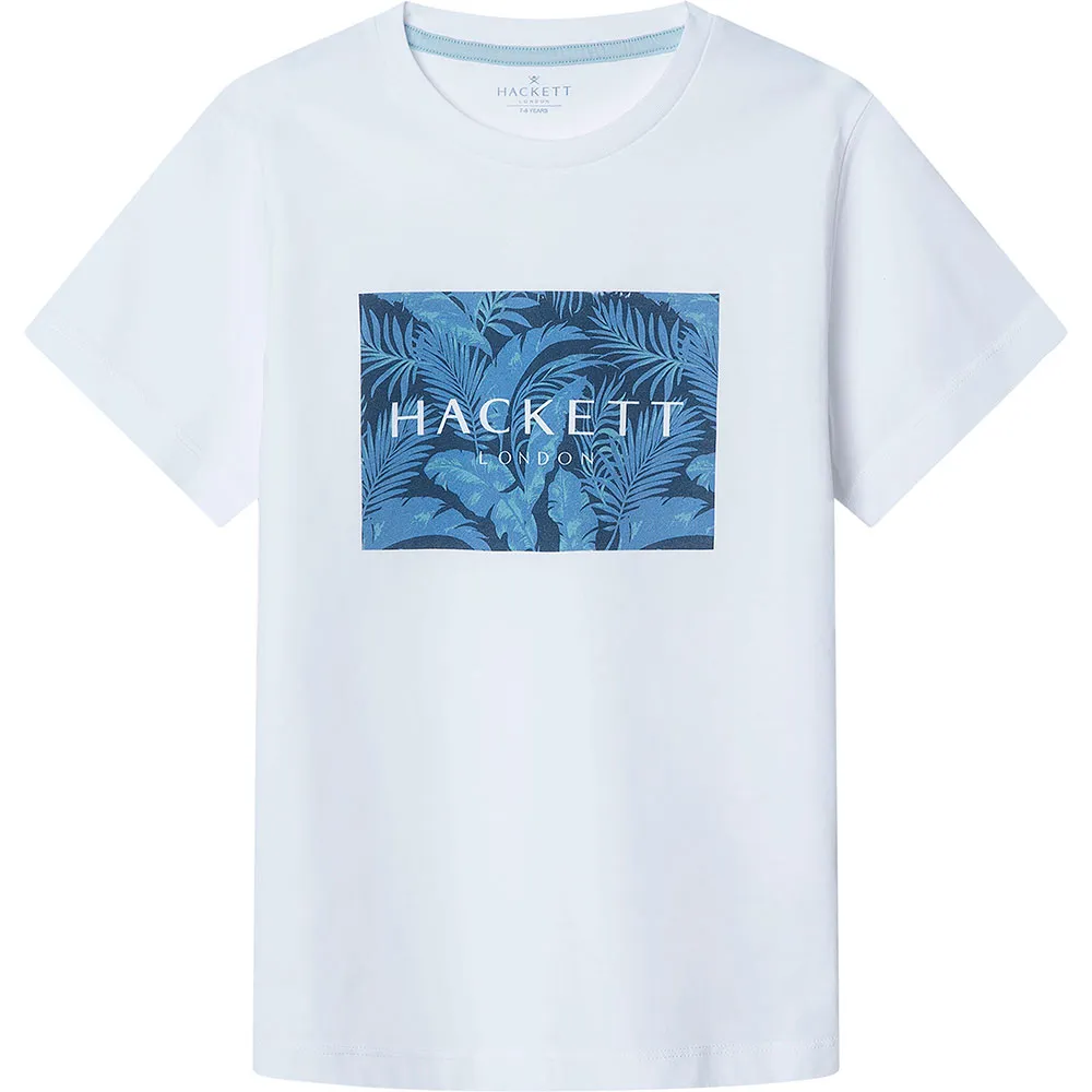 

Футболка Hackett Palm Box Blues, белый