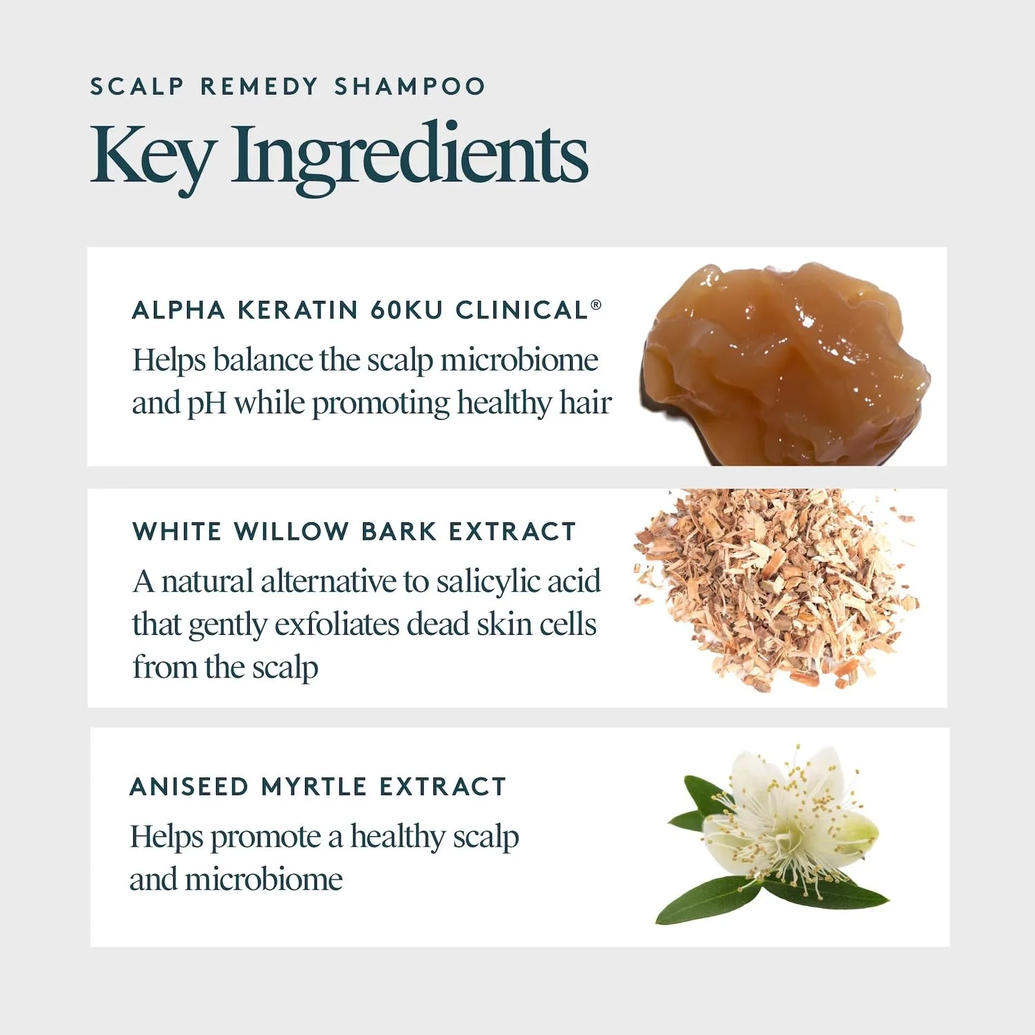 Шампунь VIRTUE Scalp Remedy, балансирующий микробиом сухой, жирной и раздраженной кожи головы, без отдушек, безопасен для всех типов волос, подходит для окрашенных волос, 237 мл — фото 3