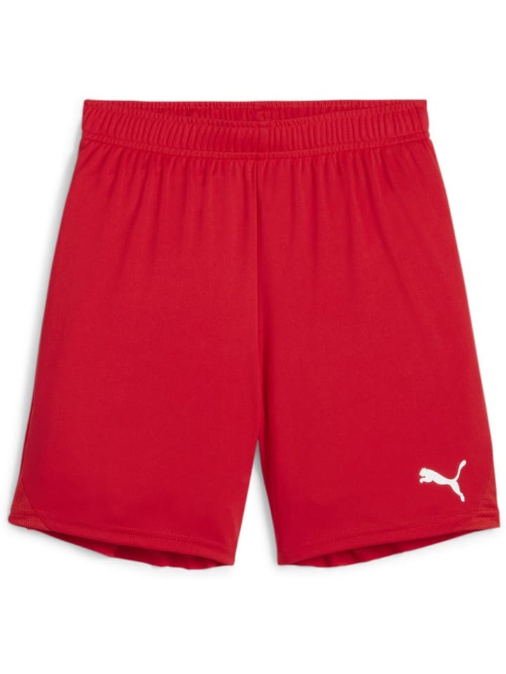 

Спортивные шорты TeamGoal Shorts Jr красного цвета Puma