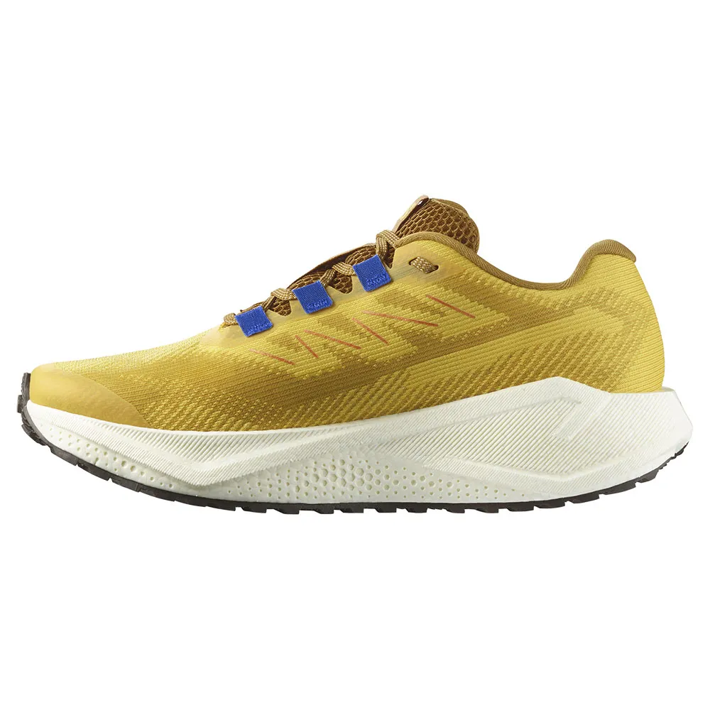 Кроссовки Salomon Aero Blaze 3 GRVL, желтый — фото 2