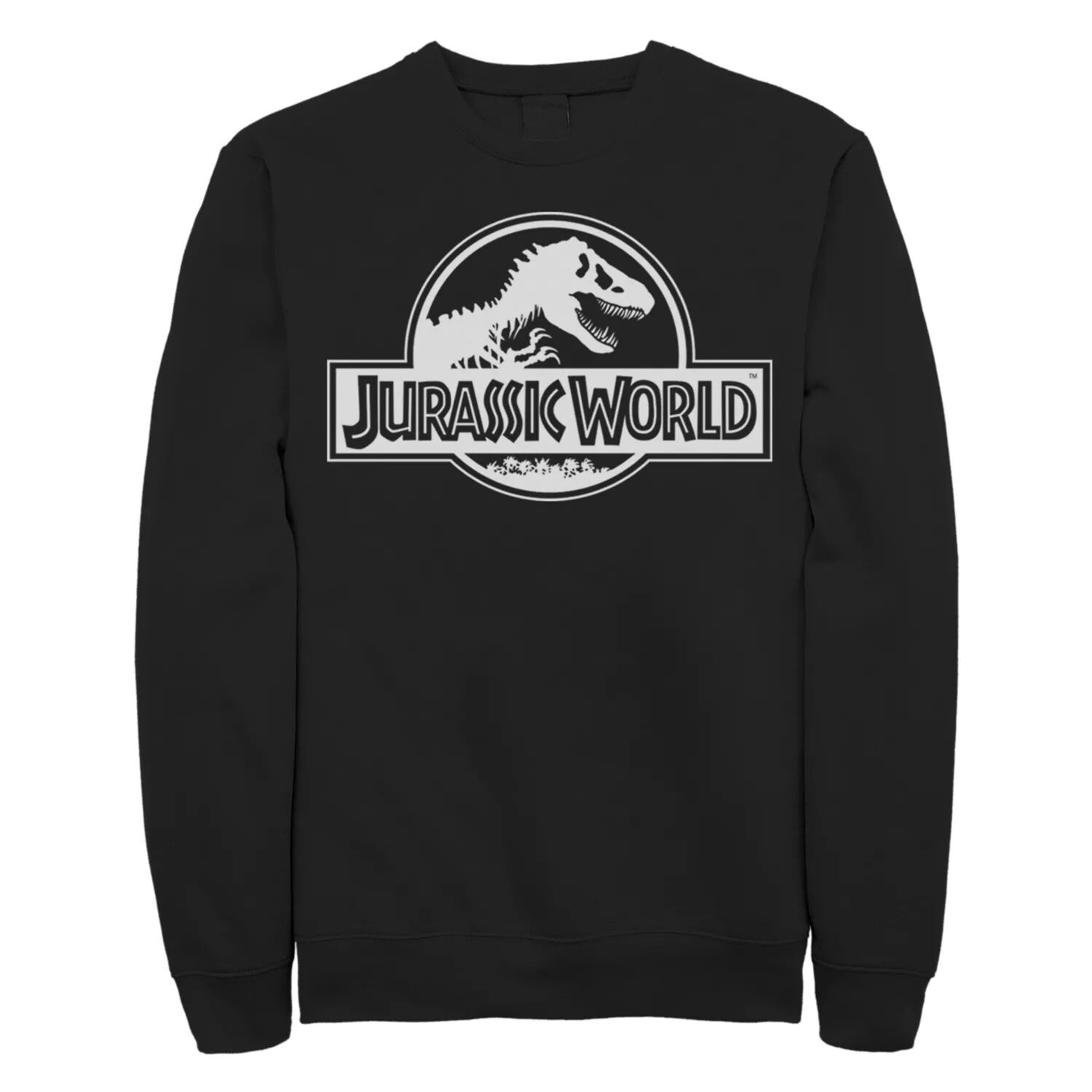 

Толстовка с простым логотипом для юниоров Jurassic World Licensed Character