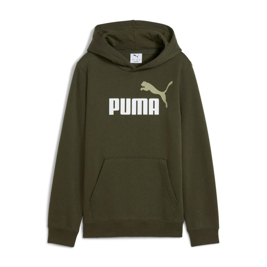 

Детская толстовка с капюшоном Puma ESS 2 COLOR с логотипом № 1, FL 685822