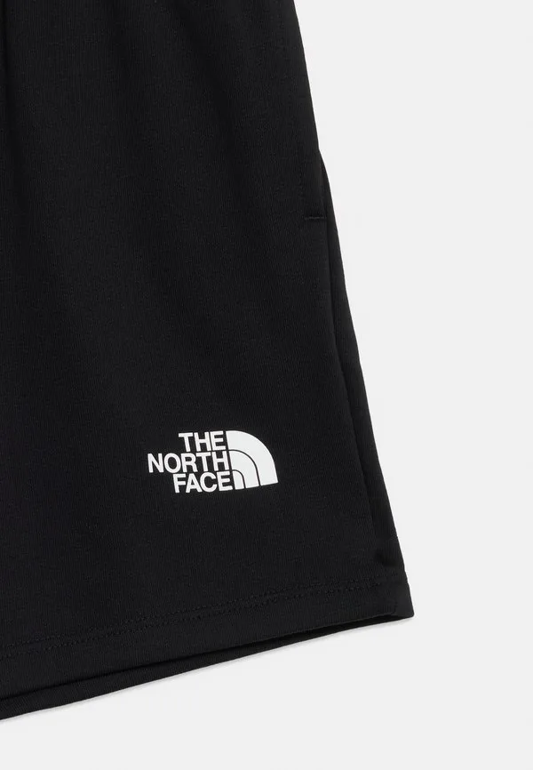 Простые спортивные шорты для подростков с купольной крышей The North Face, Black — фото 3