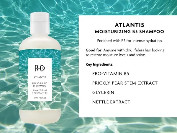 Набор шампунь и кондиционер r+co atlantis moisturizing b5 для глубокого увлажнения и восстановления сухих и поврежденных волос, 8,5 унций (2 шт) 251 мл (2 шт.) — фото 2