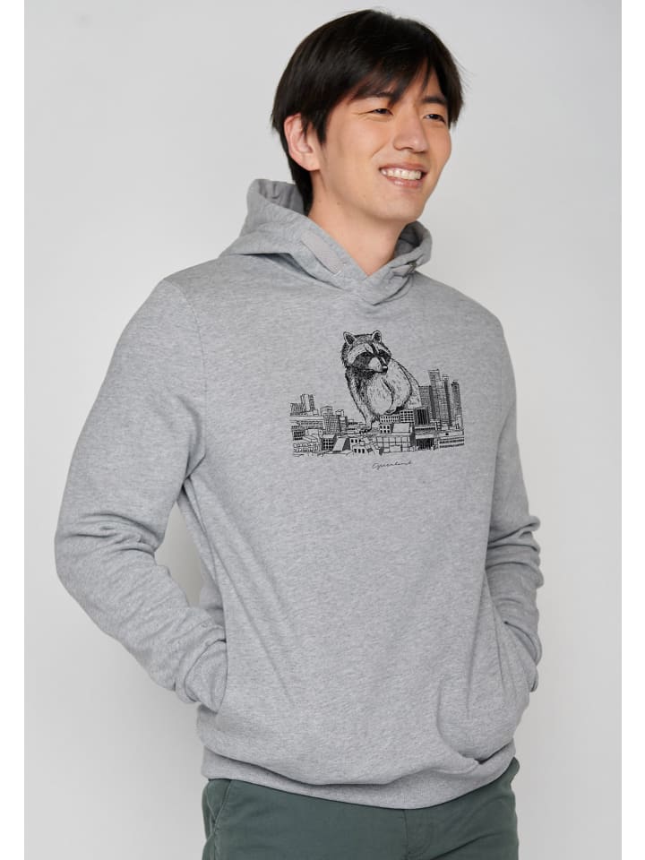 

Толстовка Animal Raccoon City в цвете Heather Grey GreenBomb