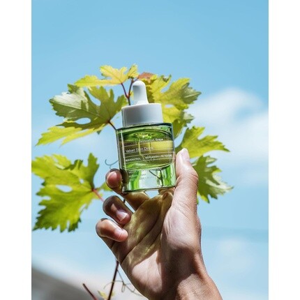 Крем для лица Korres — Напиток Santorini Grape Velvet Skin для ровного тона кожи, 30 мл — фото 3