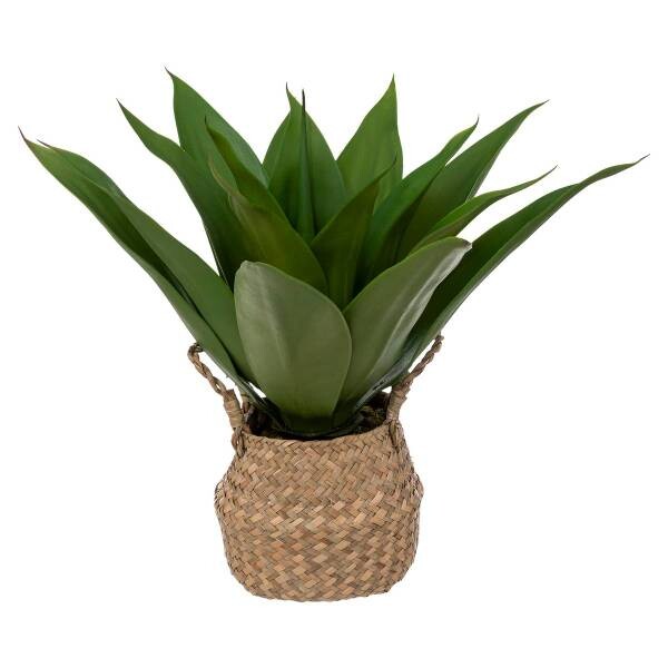 

Декоративное растение Atmosphera Créateur d'intérieur Agave RAZAN, бежевый