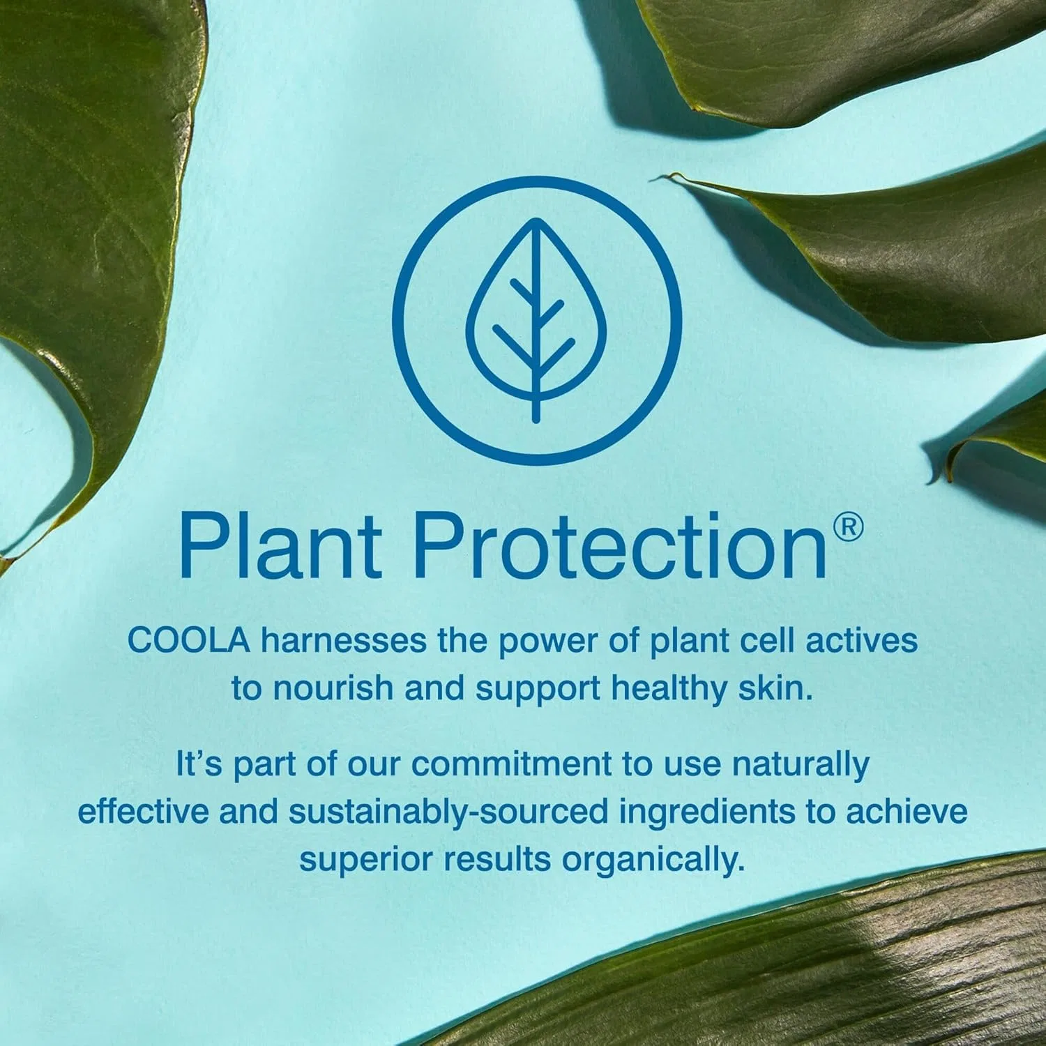 Солнцезащитный спрей для тела SPF 50 «Guava Mango» от Coola Coola — фото 4