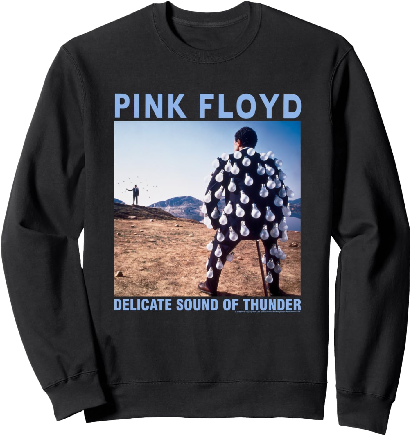 

Толстовка Pink Floyd Delicate Sound, черная Popfunk