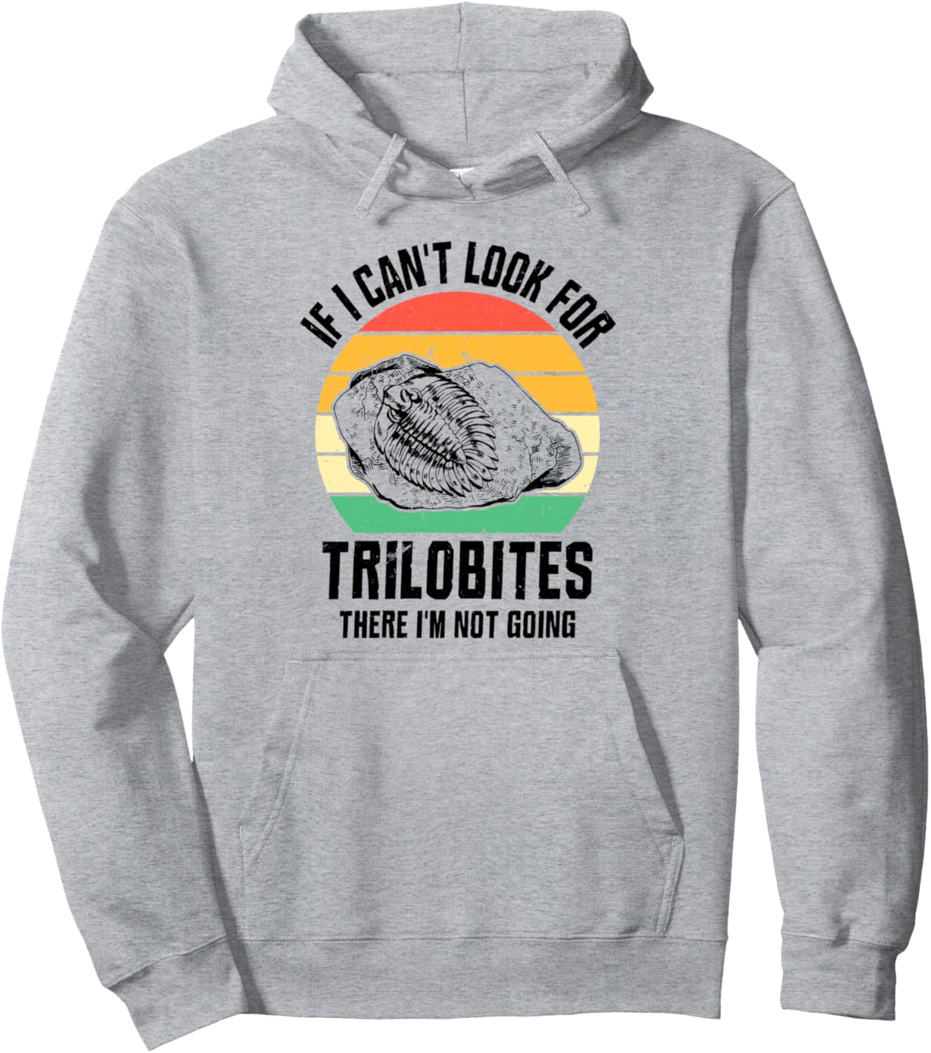 

Худи для палеонтолога, коллекционера ископаемых, охотника за ископаемыми, серая Fossil Hunting Gear, Серый, Худи для палеонтолога, коллекционера ископаемых, охотника за ископаемыми, серая Fossil Hunting Gear