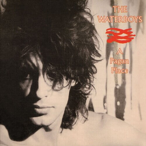 

CD диск Waterboys: Pagan Place