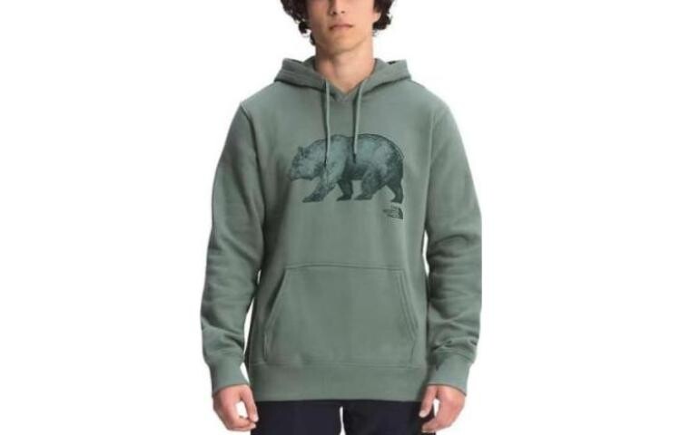 

Толстовка мужская зеленая The North Face, зеленый