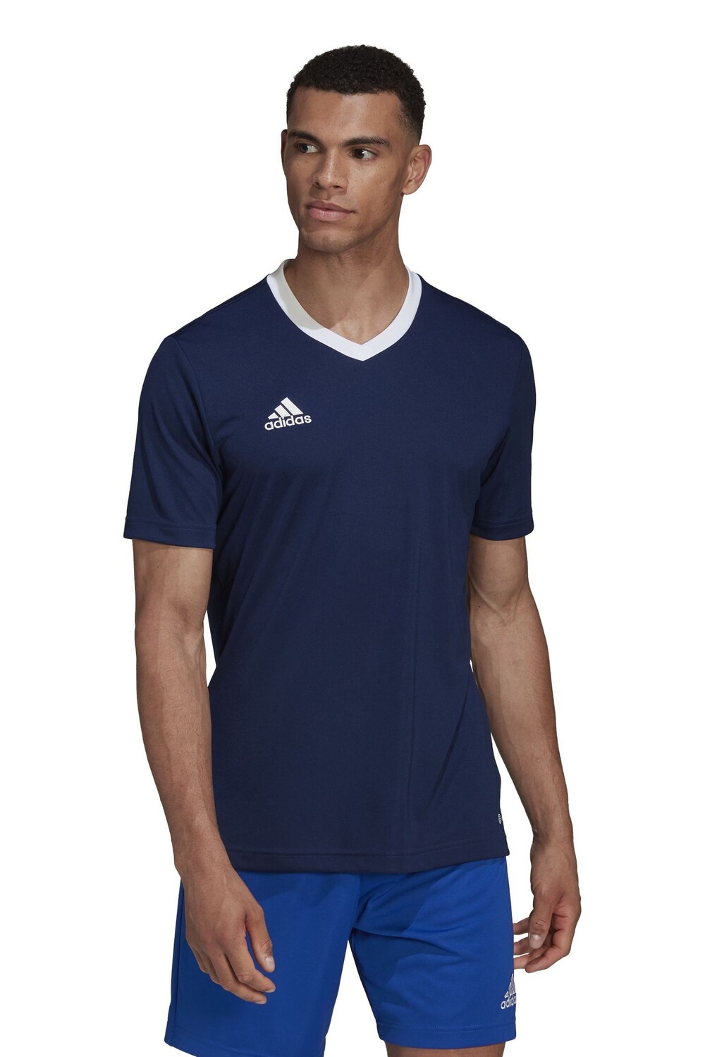 

Футболка Энтрада 22 adidas, синий