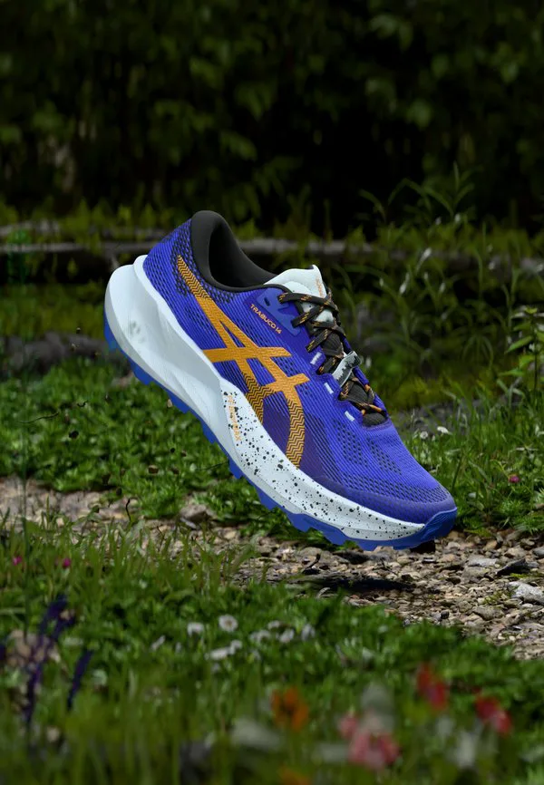 Кроссовки для трейлраннинга trabuco 14 Asics, Sandstorm