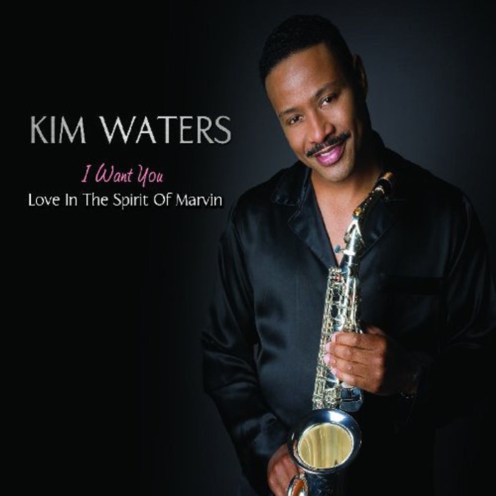 

Диск CD I Want You-Love In The Spirit - Kim Waters