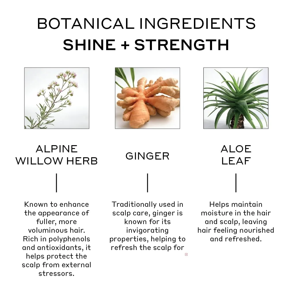 ZENAGEN Evolve Repair + Protect Nourishing Shampoo (Unisex) - восстанавливает и укрепляет поврежденные волосы, способствует увеличению объема, на растительной основе, для окрашенных волос, веган, для всех типов волос 473 мл (1 шт.) — фото 3