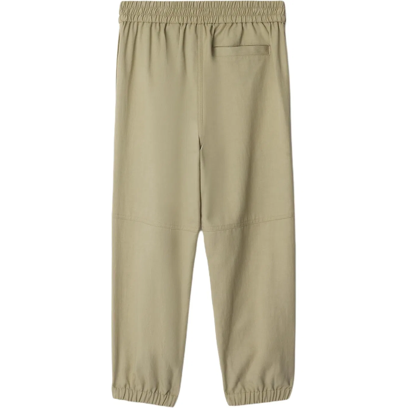 Спортивные штаны Moss Green Burberry — фото 3