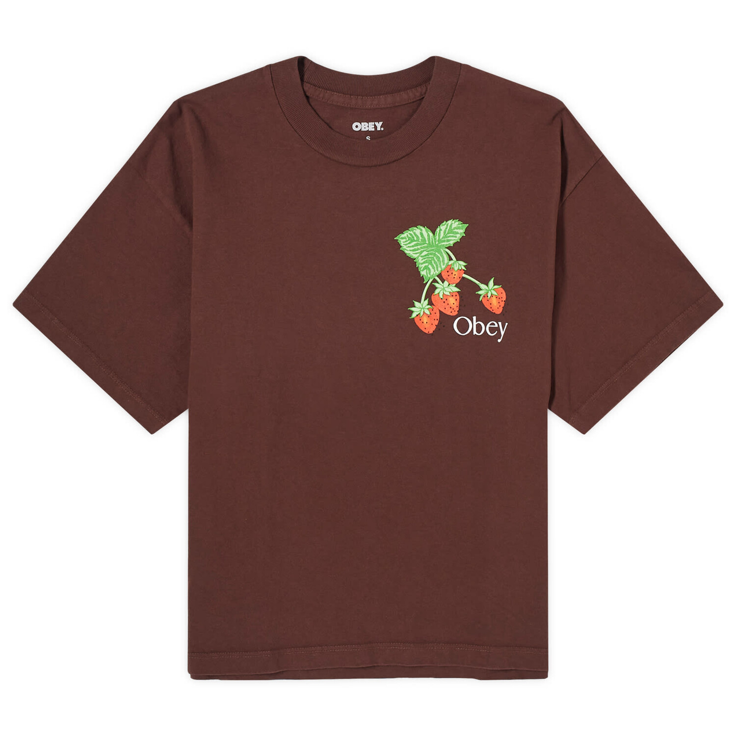 

Футболка Obey Strawberry Bunch T-Shirt, цвет Java Brown