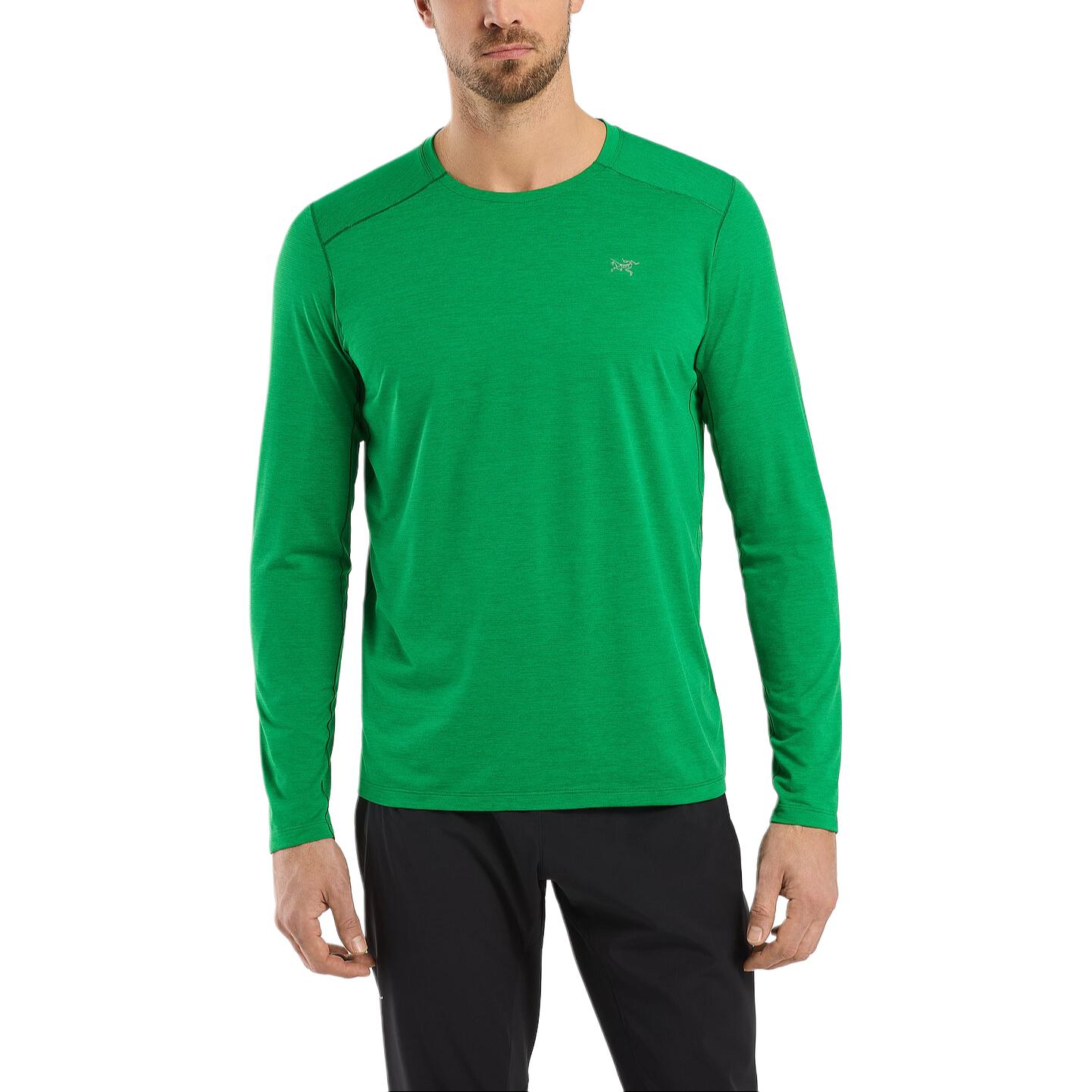 

Футболка мужская Motus Series Arcteryx, Лесная зелень/Тропическая вересковая