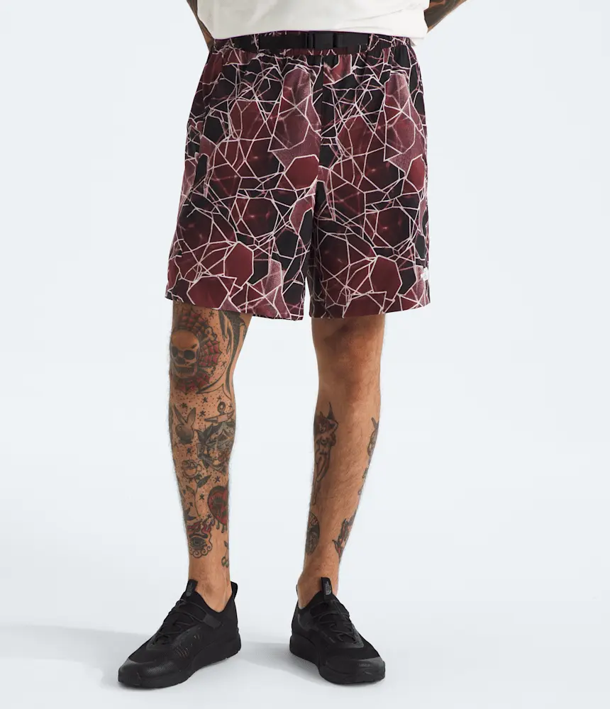 

Мужские шорты Pathfinder V класса с поясом, 7 дюймов The North Face, SUMAC OVAL INTENTION PR